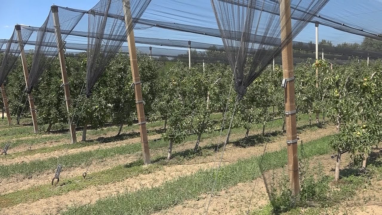 Magyarország Legszebb Birtoka verseny - Somodi birtok