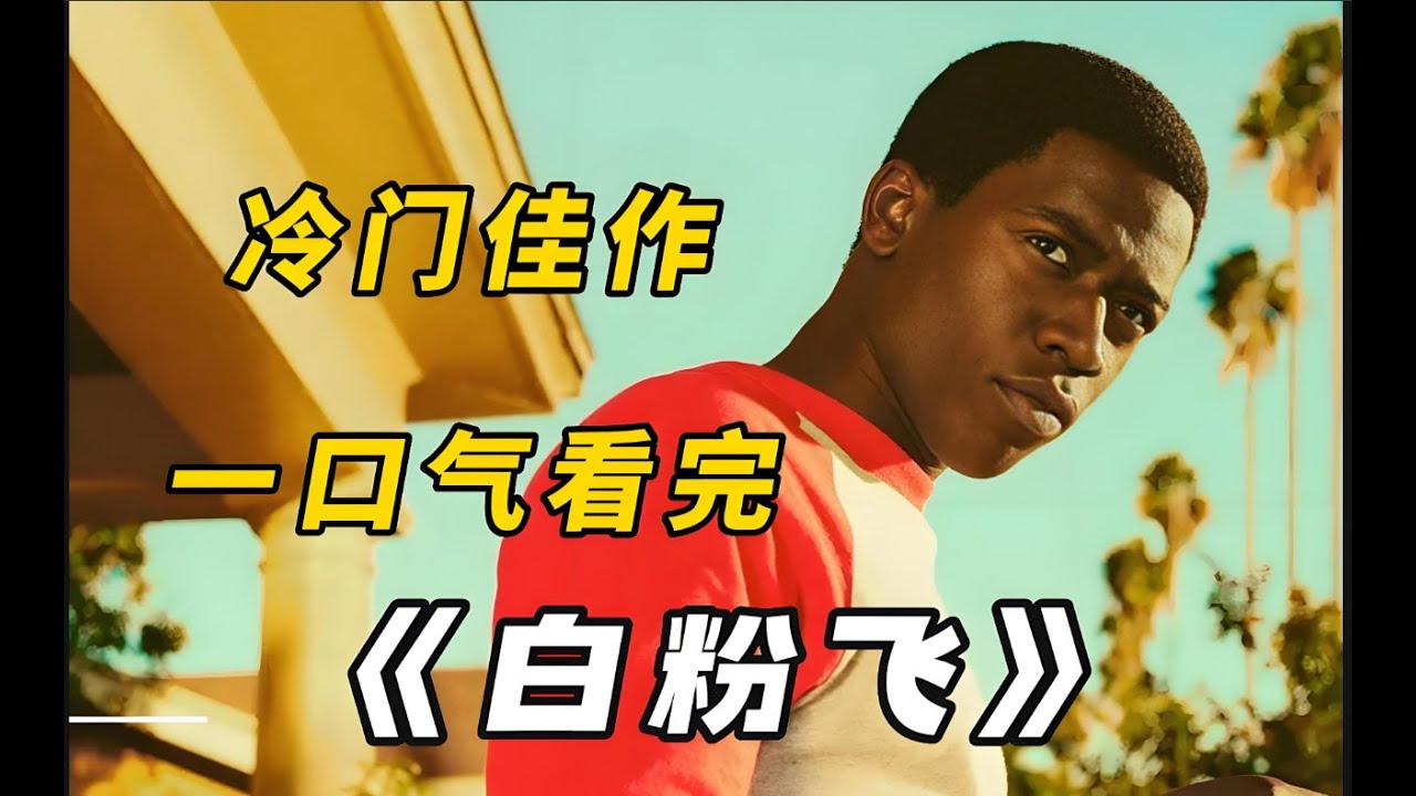 冷门美剧《白粉飞》一口气看完，贫民窟小伙的逆袭路，全程高能！