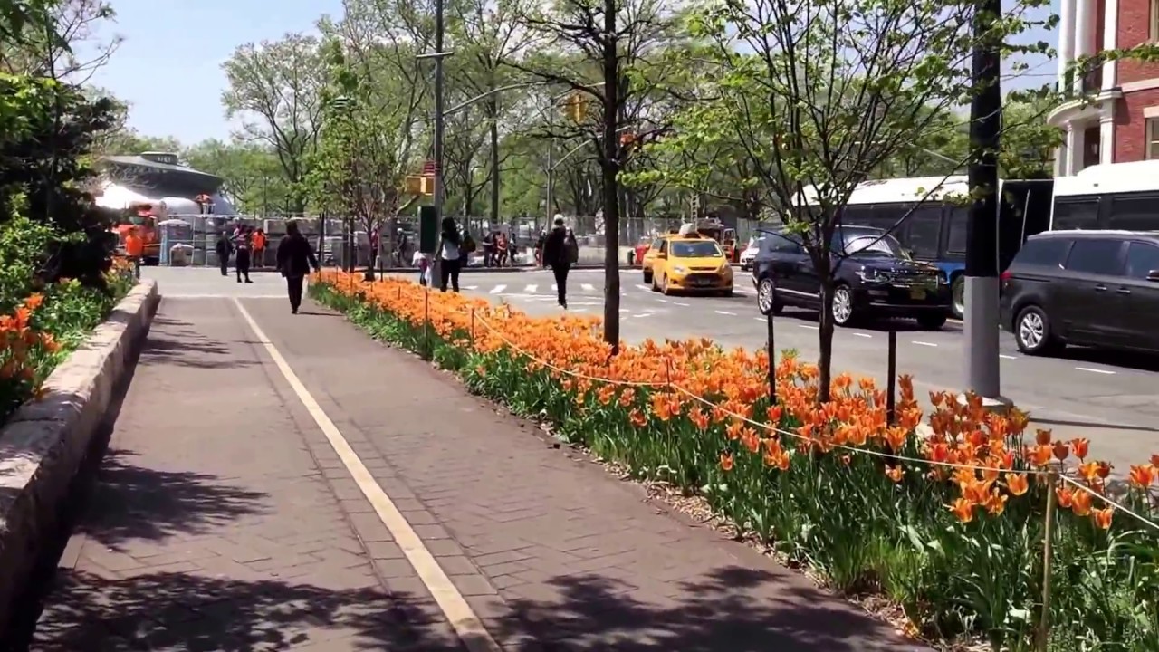 more flowers, Downtown Manhattan, New York (5-1-17)