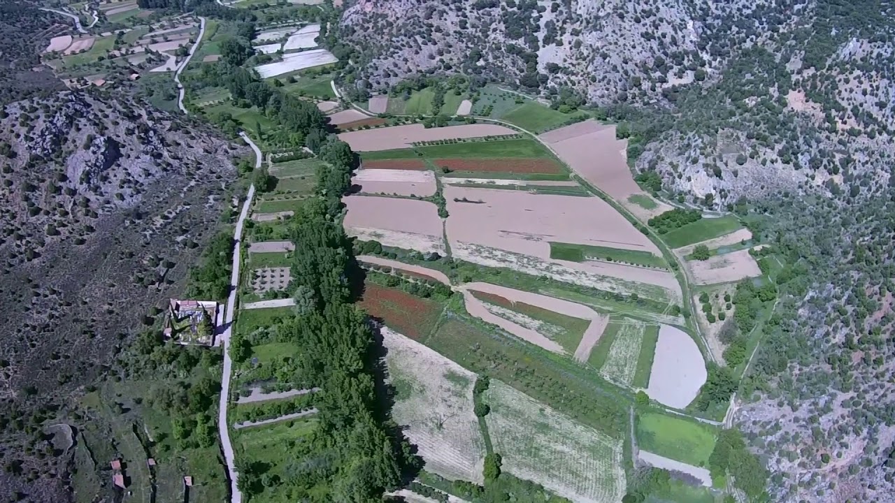 Mochales en Dron