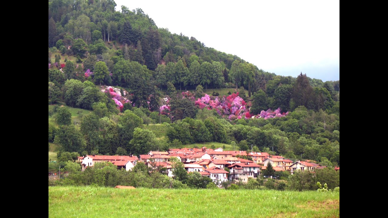 PARCO BURCINA (POLLONE, BIELLA, PIEMONTE, ITALY)