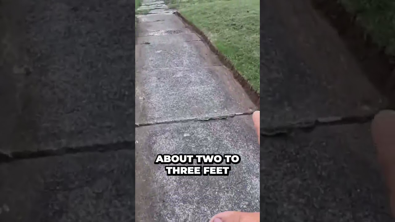 Uncovering Hidden Sidewalk: You Won't Believe What We Found!