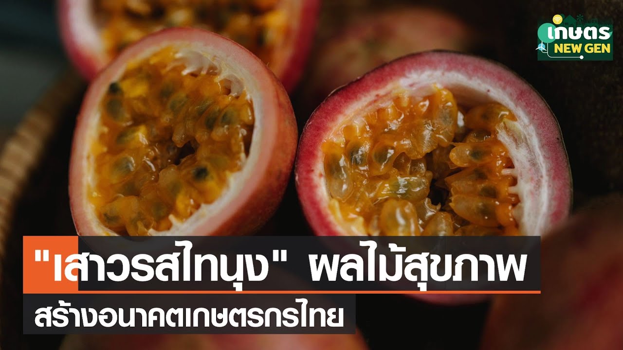 เสาวรสไทนุง ผลไม้สุขภาพสร้างอนาคตเกษตรกรไทย | เกษตรนิวเจน