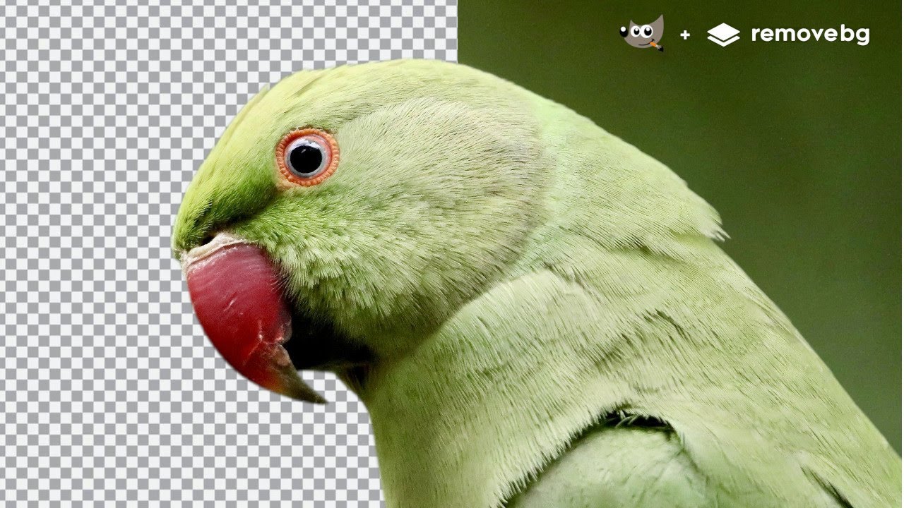 Instale o Plugin do GIMP que Remove Fundo com 1 Clique