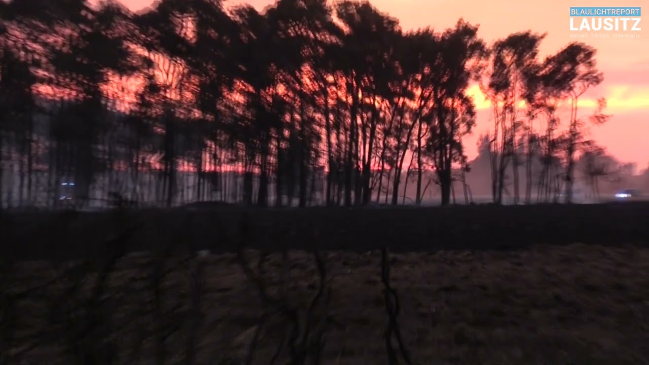 Zeithain/Mühlberg: Großer Waldbrand zwischen Sachsen und Brandenburg