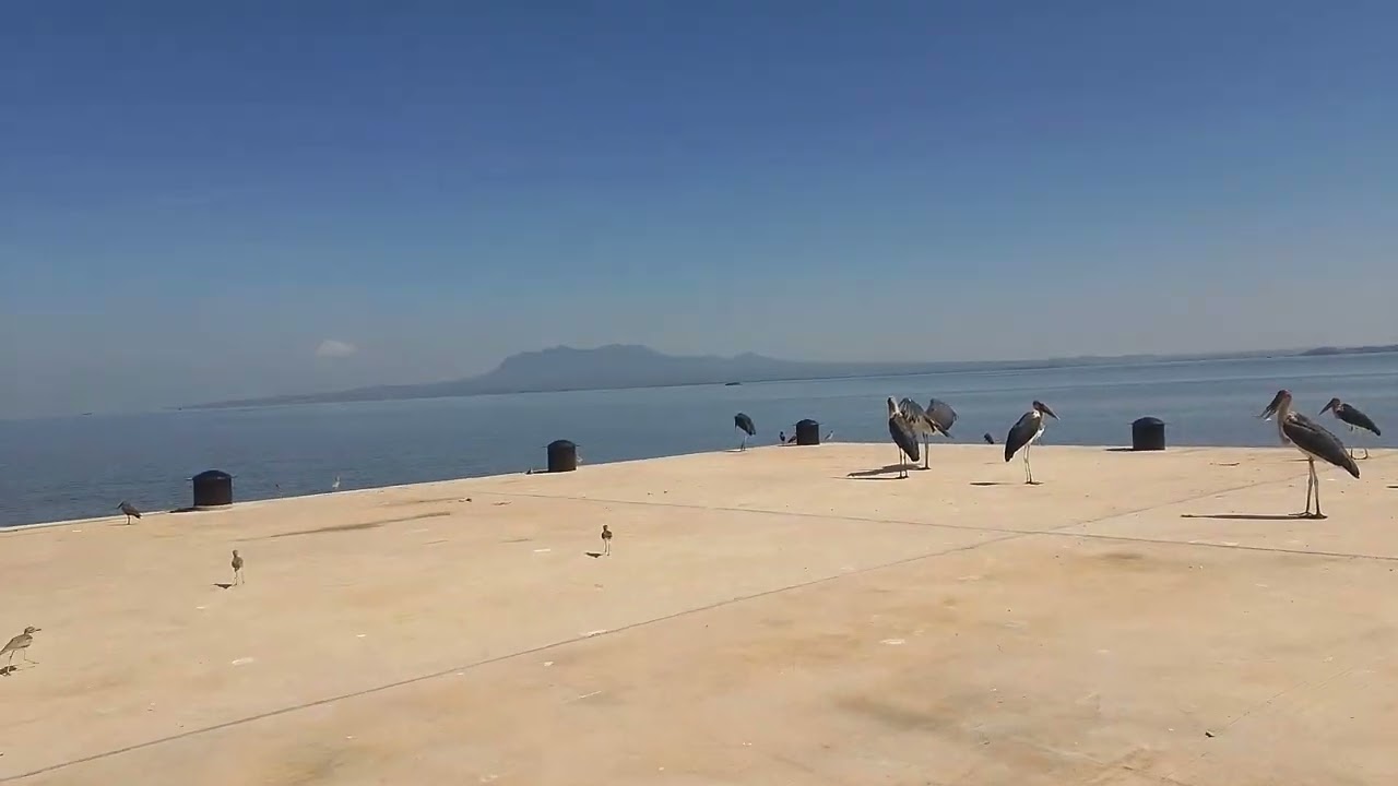 MODERN HOMABAY PIER 