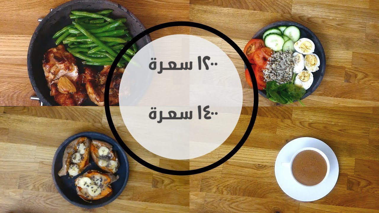 الحلقة #٢ /كيف خسرت وزن ٢٠ كيلو/يوم كامل من  الاكل
