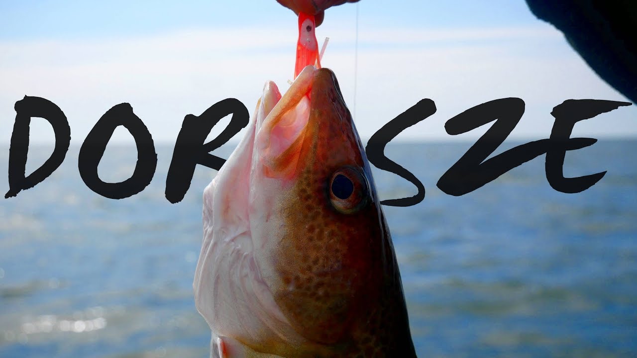 Wyprawa Na Dorsze | Pierwszy raz na kutrze | Port we Władysławowie