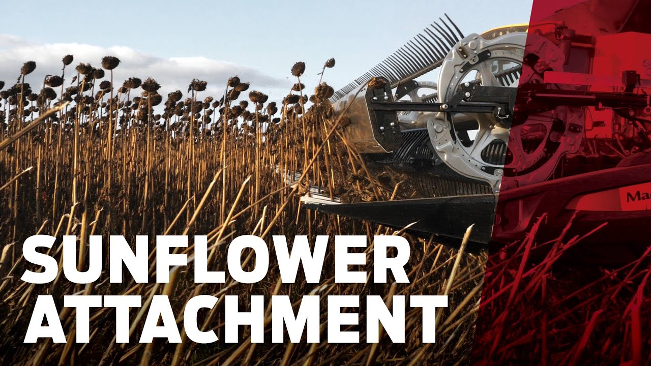 MacDon Sunflower Attachment
