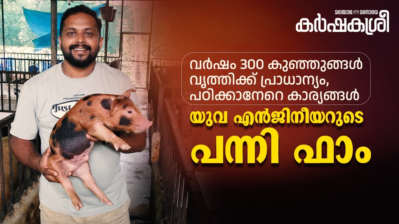 വർഷം 300 കുഞ്ഞുങ്ങൾ, വൃത്തിക്ക് പ്രാധാന്യം; എൻജിനീയറുടെ പന്നി ഫാമിൽ പഠിക്കാനേറെ | Karshakasree