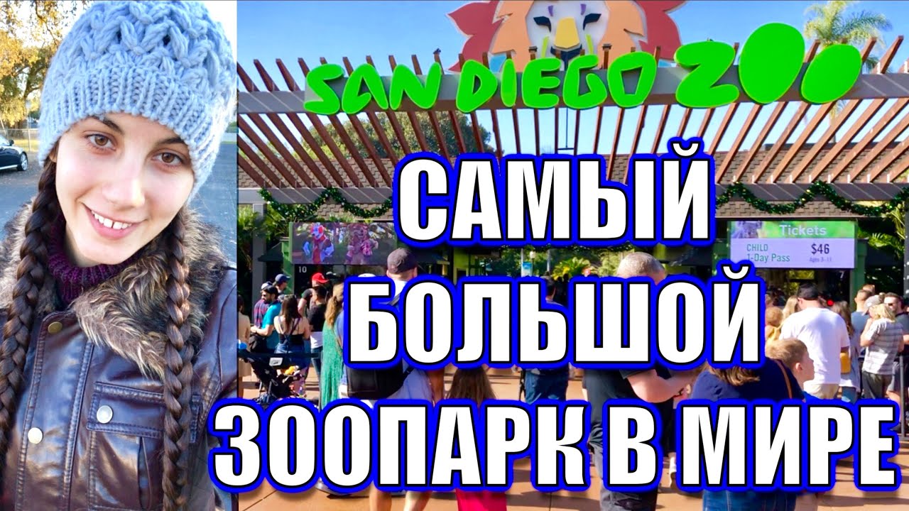 США 🇺🇸 САМЫЙ БОЛЬШОЙ ЗООПАРК В МИРЕ SAN DIEGO ZOO