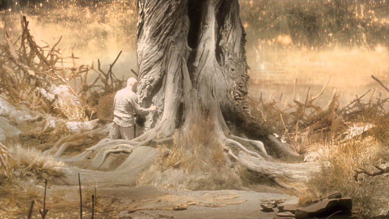 AAP SAHAEE HOA by WHITE SUN and the excerpts from THE FOUNTAIN