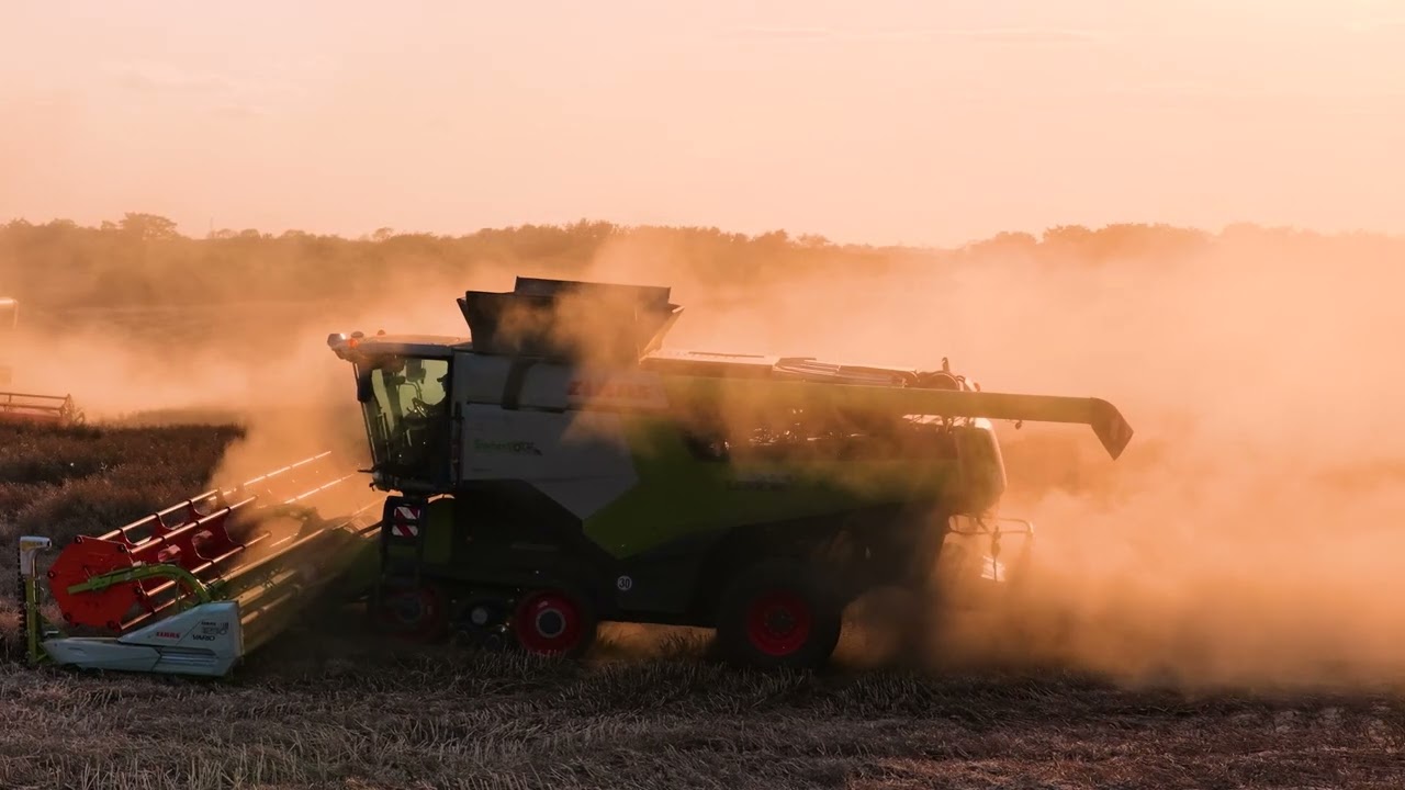 Wielkie żniwa Rumunia 2025 Świerkot.pl 5x Lexion 8800TT 1x Ideal 10T Epic drone footage