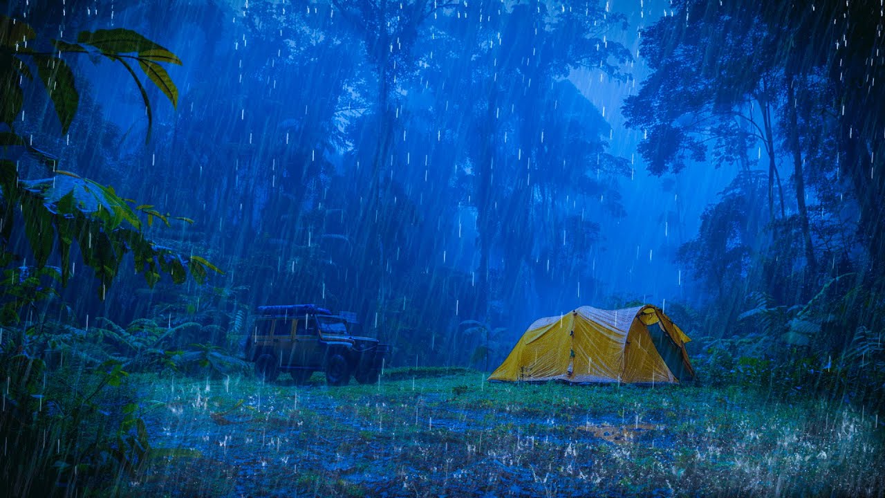 Regn lyder i skogen for søvn - Regn lyder for søvn - Regn og torden