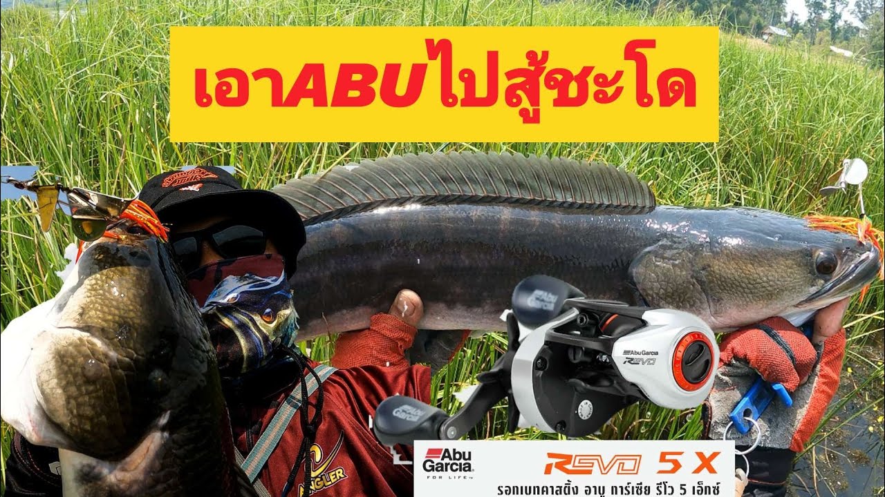 ABU Revo 5X เอารอกตัวใหม่ ไปอัดชะโดEP.2ABUกู้หน้า
