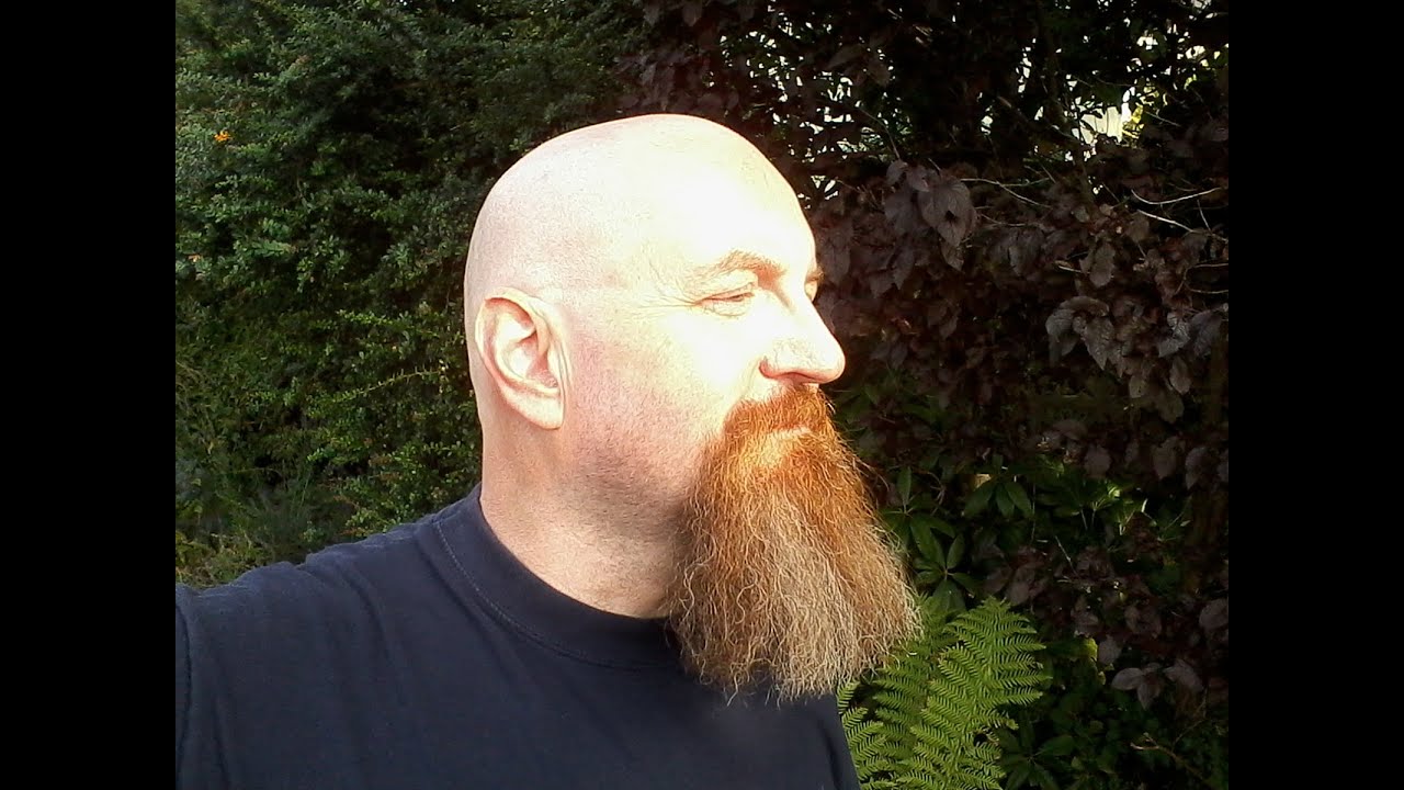 Using a Babyliss Easycut V2 clipper to prepare my head for shaving.