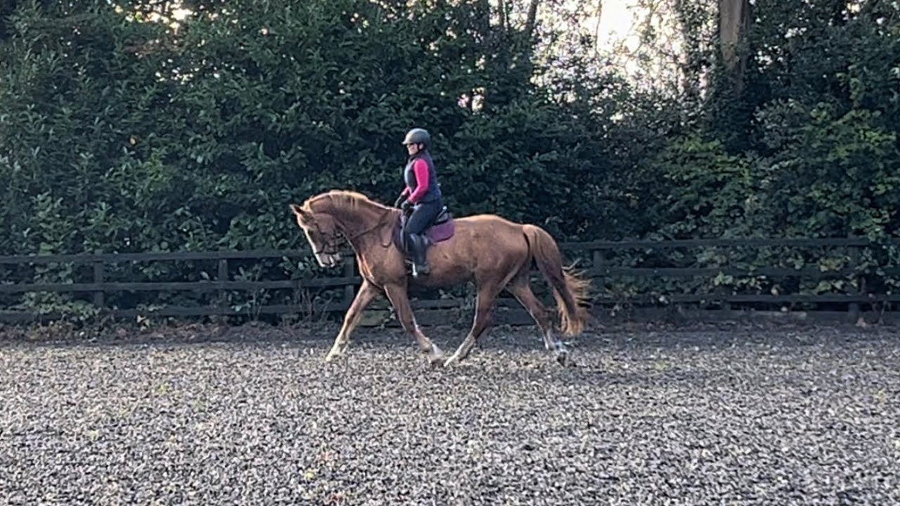 Kit Bradshaw and Chester - October E-riders