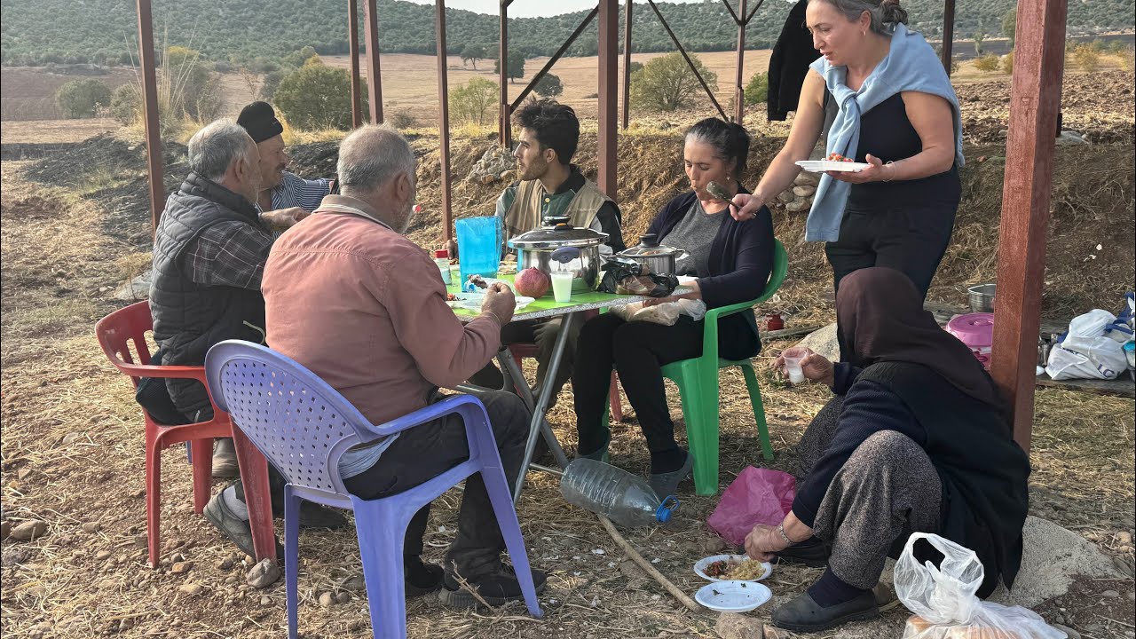 2025 Arpa Ekim Zamanı – Drone Görüntüleri   4K