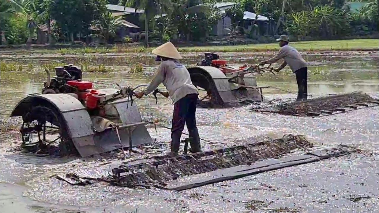 MÁY CHỤC ĐẤT 2 MÁY YANMAR CHẠY NGHE TIẾN MÀ ĐÃ NHỎ MÀ CÓ VÕ