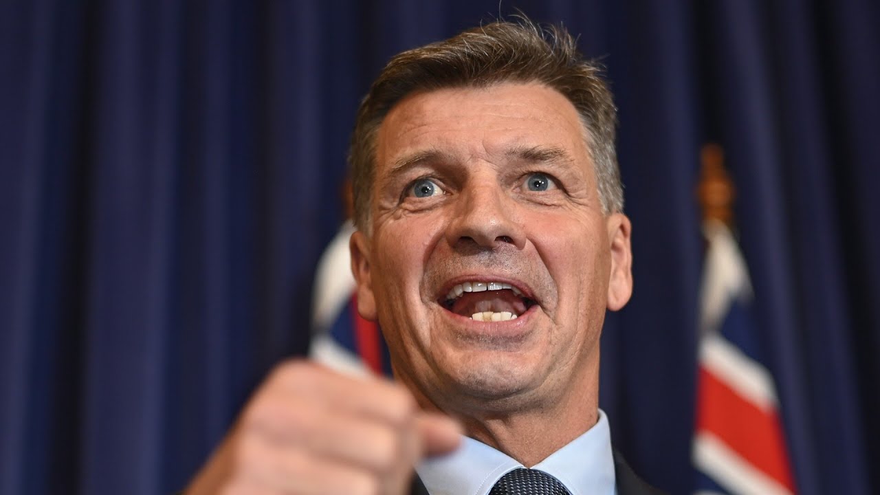 ‘Actions are hard’: TV host urges Angus Taylor to take ‘real action’ on immigration