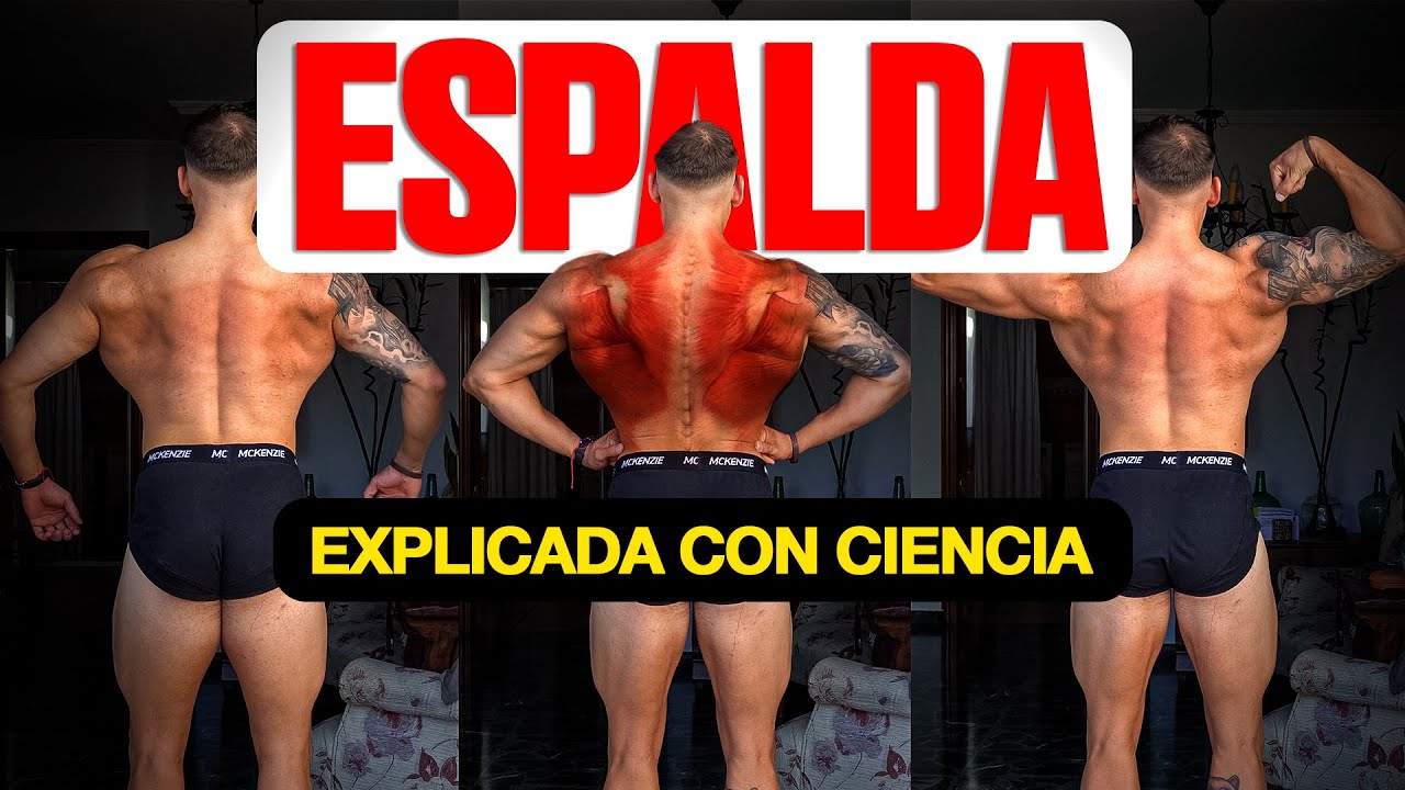 APRENDE A ENTRENAR TU ESPALDA COMO UN PROFESIONAL | GUÍA COMPLETA 
