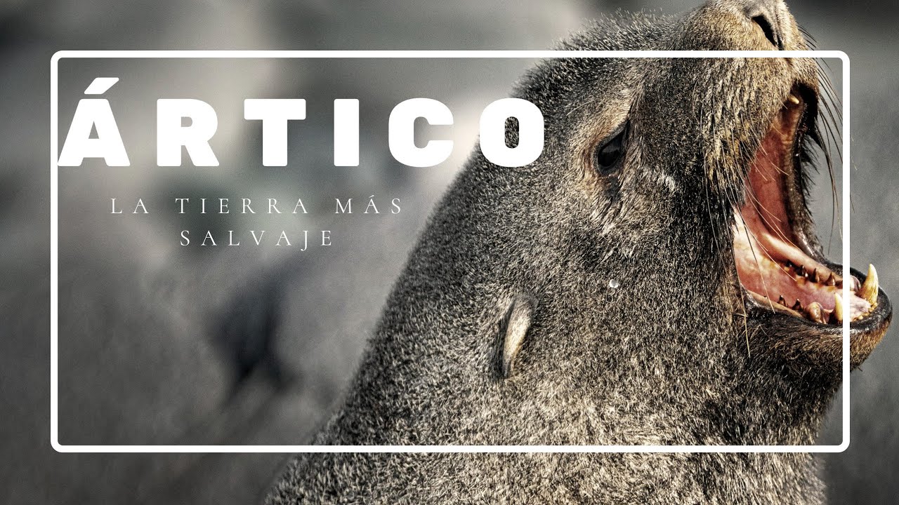 &Aacute;RTICO, La tierra m&aacute;s salvaje - Documental [Corto]-4K