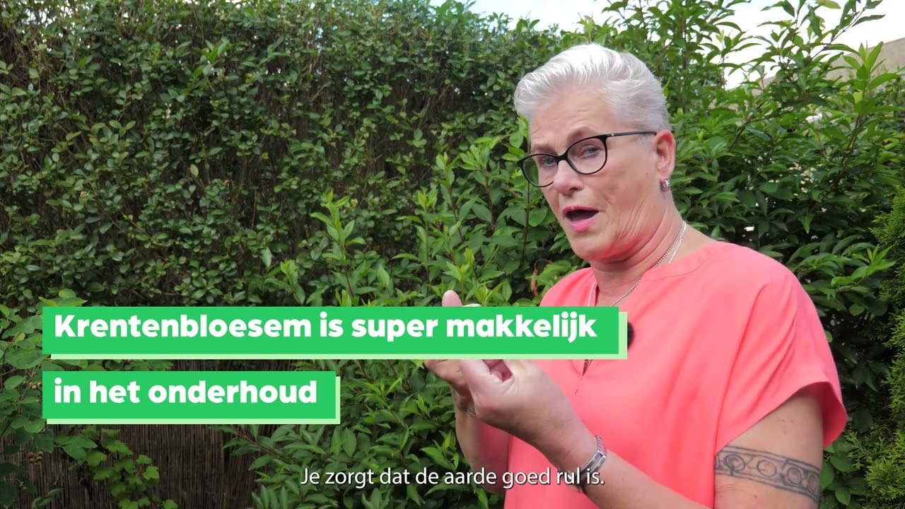 Tuinvrouw Jakobina geeft tuintips (deel 5)