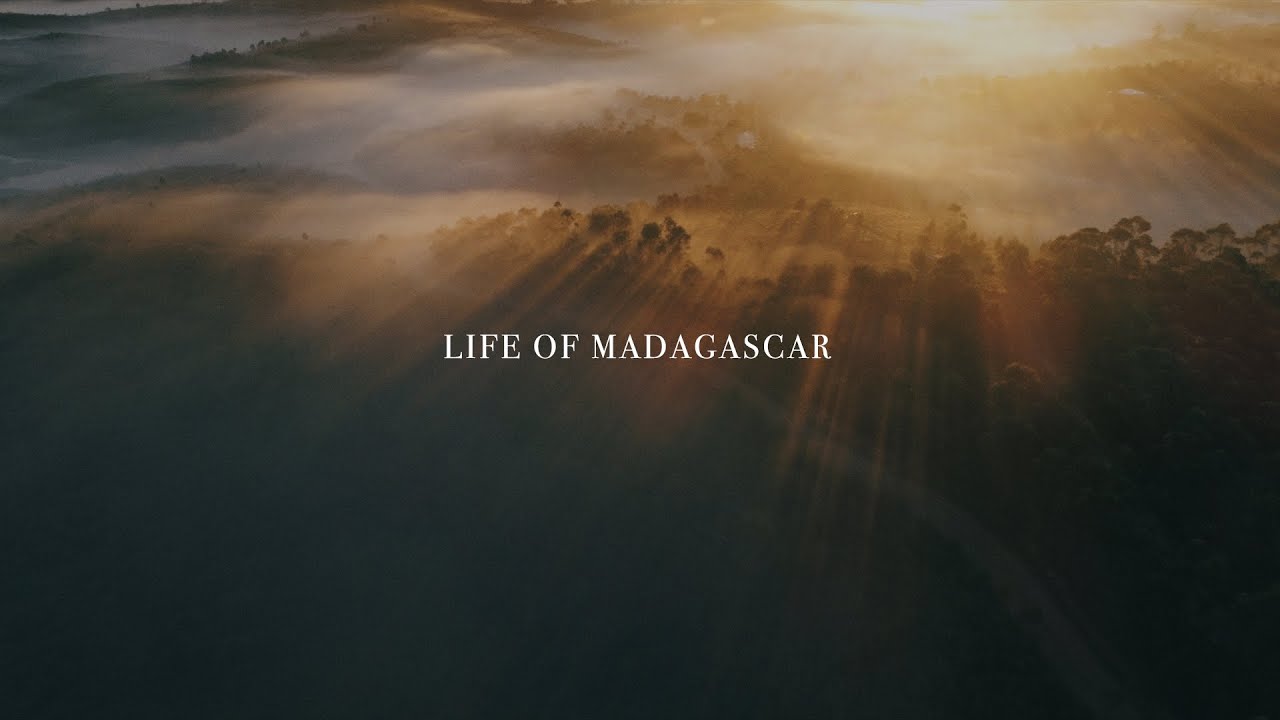 Life Of Madagascar