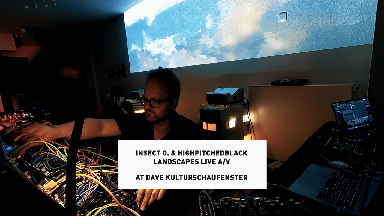 Insect O. & Highpitchedblack - Landscapes Live A/V at DAVE Kulturschaufenster