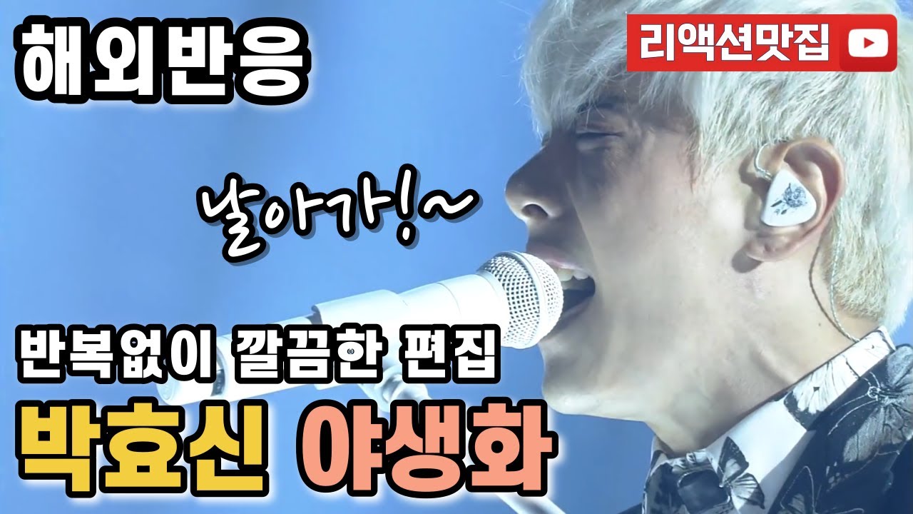[반복없이깔끔한편집] 박효신 야생화 Park Hyo Shin Wild Flower 유희열의 스케치북 해외반응 리액션 모음