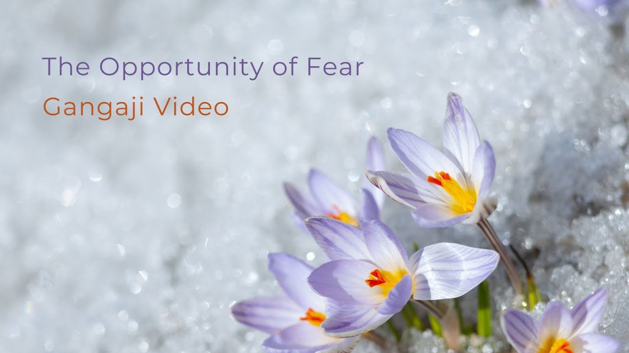 The Opportunity of Fear