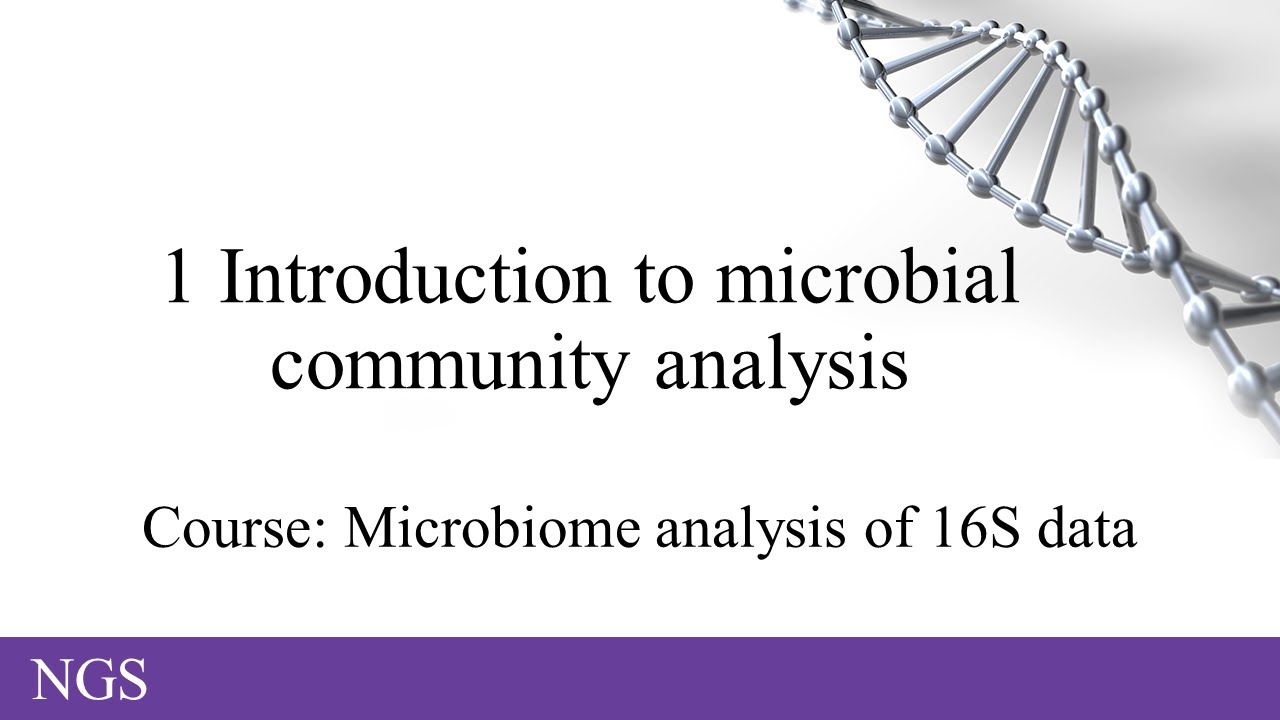 1 Introduction to microbial community analysis using amplicon sequencing data