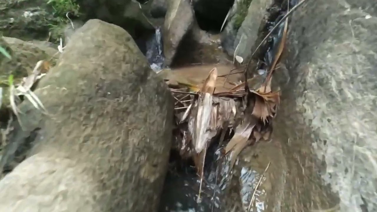 chring roramataniko sal dinga arata chringo rowagita ongja