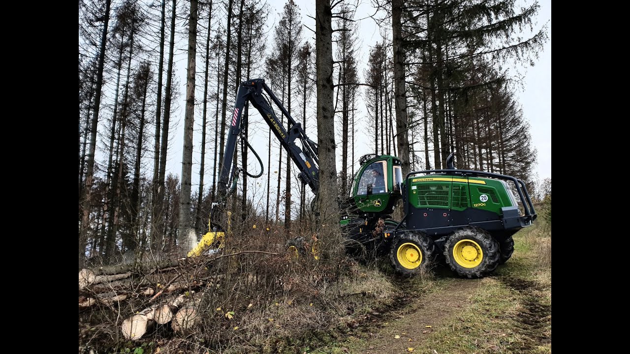 John Deere 1270G • Forstbetrieb Klotz GmbH • Harvester • Abholzung • Käferholz