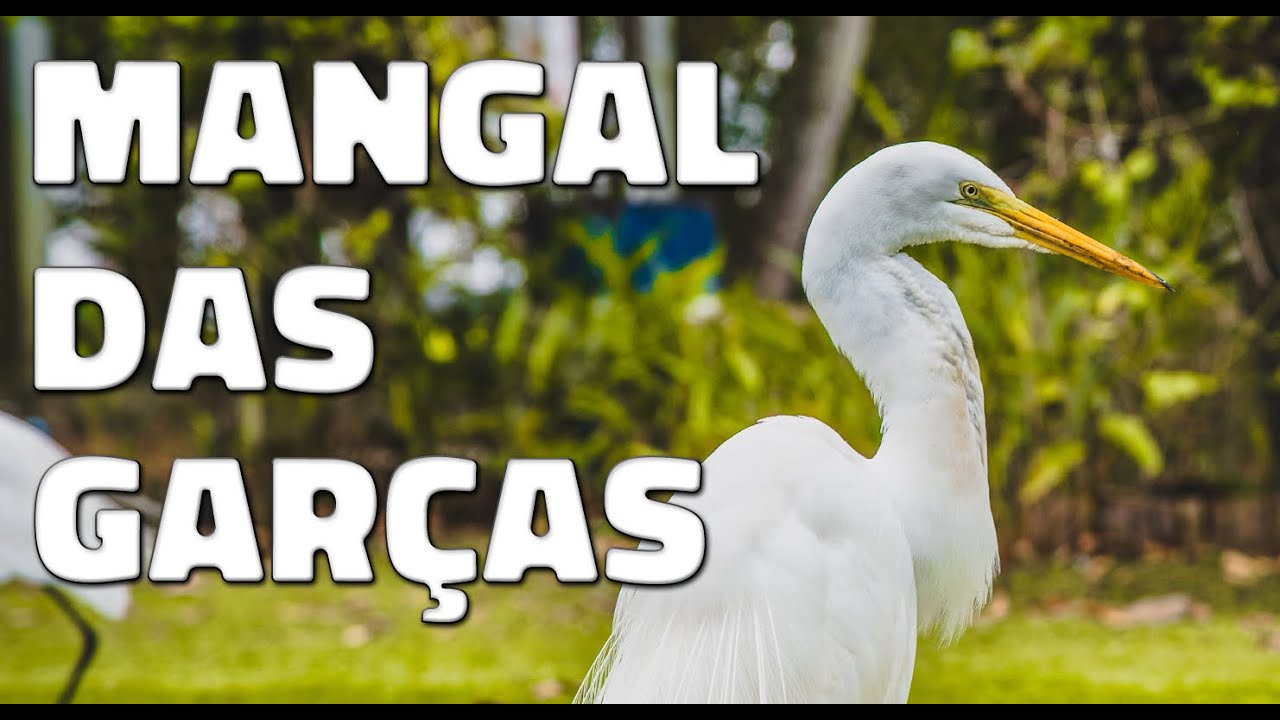 Mangal das Garças em Belém