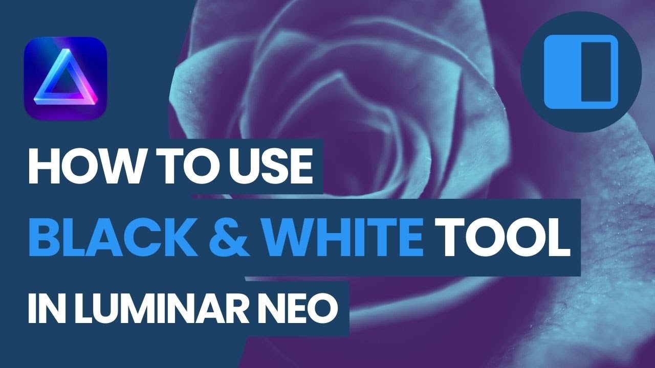Luminar NEO: How to use the Black & White Tool