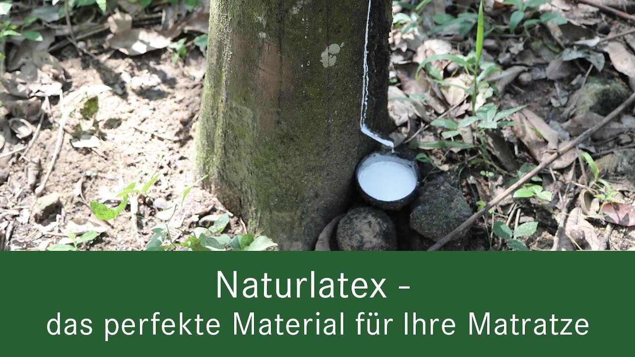 Naturlatex - das perfekte Material für Ihre Matratze!