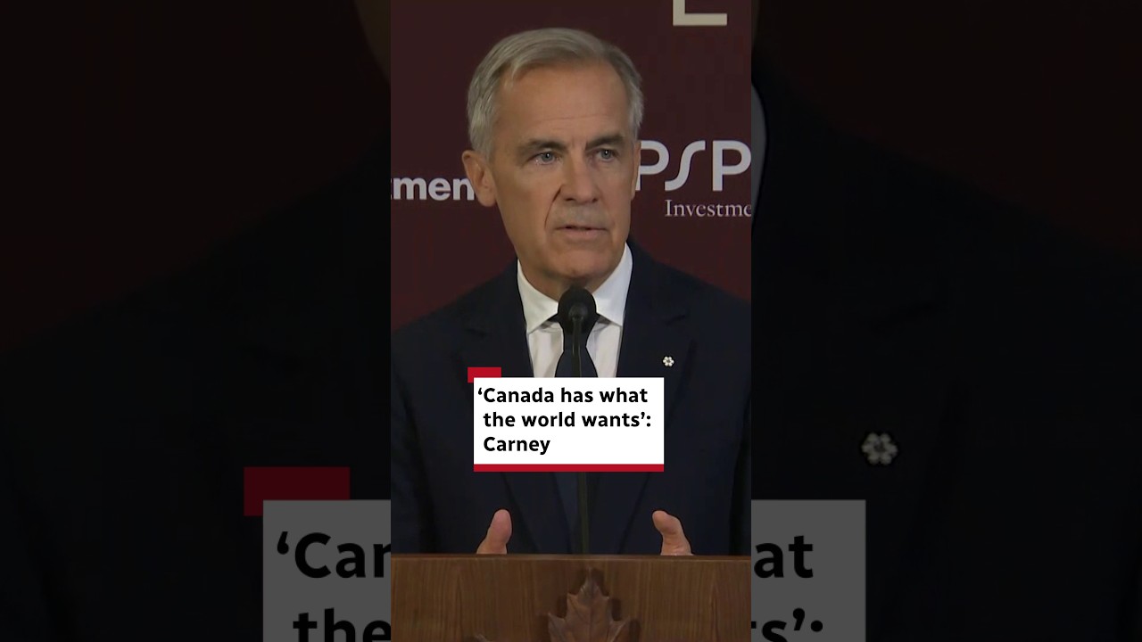 'Canada has what the world wants': Carney