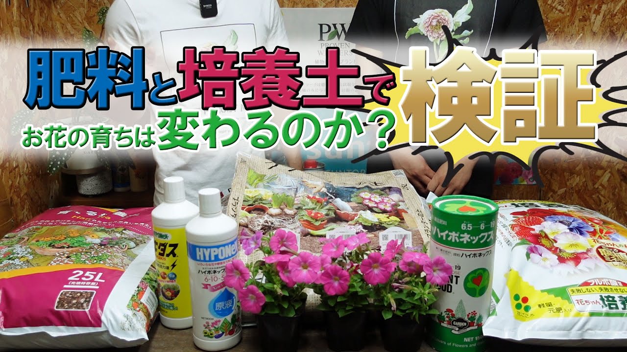 【ペチュニアで実験】肥料や培養土には沢山の種類があります！そこで『肥料』『培養土』『育てる人』が変わるとお花はどう育つのか検証したいと思います！実際に植え付けながら詳しい説明をします♪