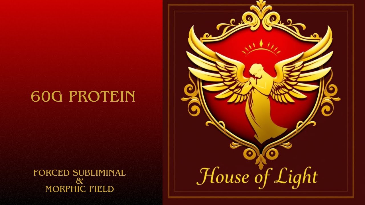 60 GRAMS OF PROTEIN || MORPHIC FIELD