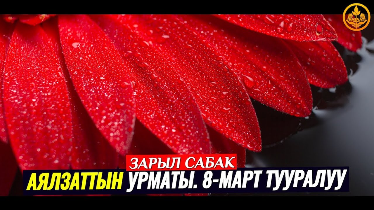 АЯЛЗАТЫНЫН УРМАТЫ. 8-МАРТ ТУУРАЛУУ. (зарыл сабак).   Шейх Чубак ажы
