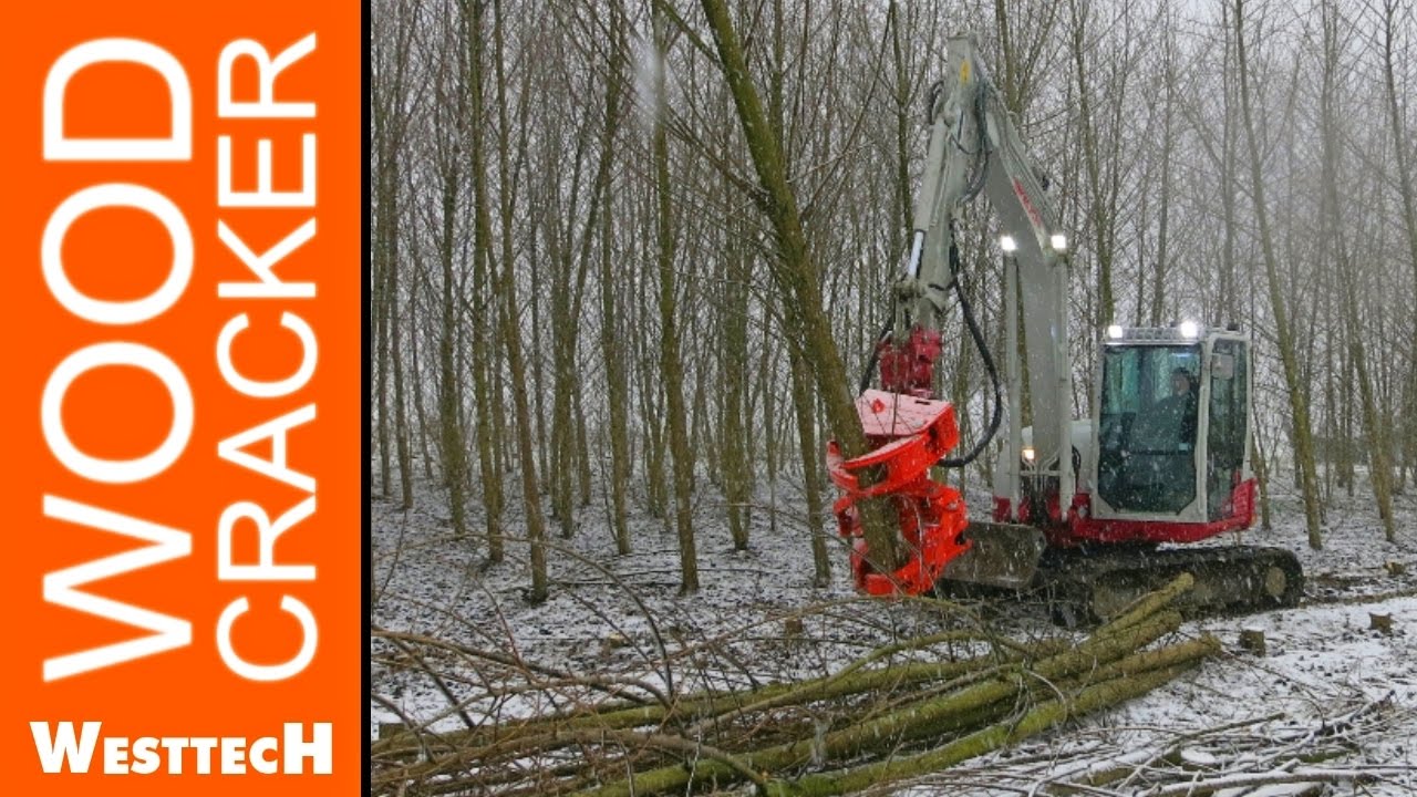 Energieholzernte KUP Feldtag in Wieselburg