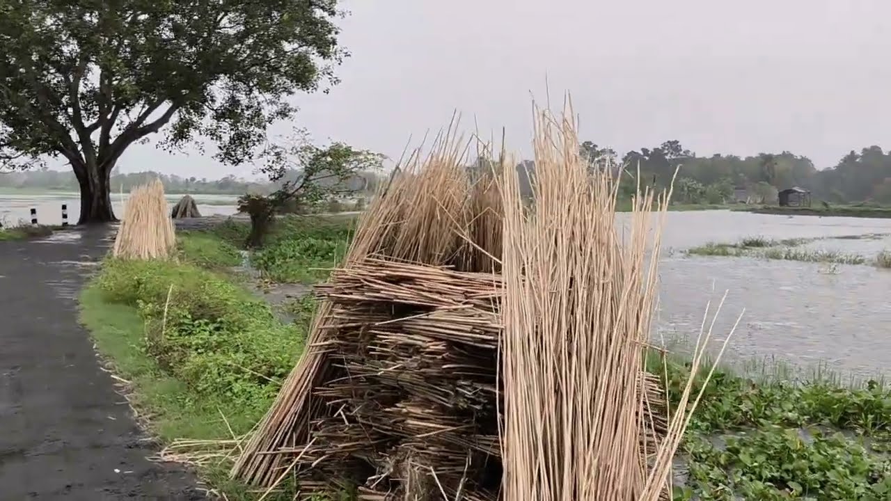 গ্রামে বৃষ্টির সৌন্দর্য | Beauty Rain in Village