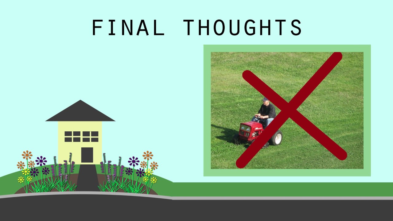 Rain Gardens 101, Part Five: Reassessing Your Rain Garden and Final Tips