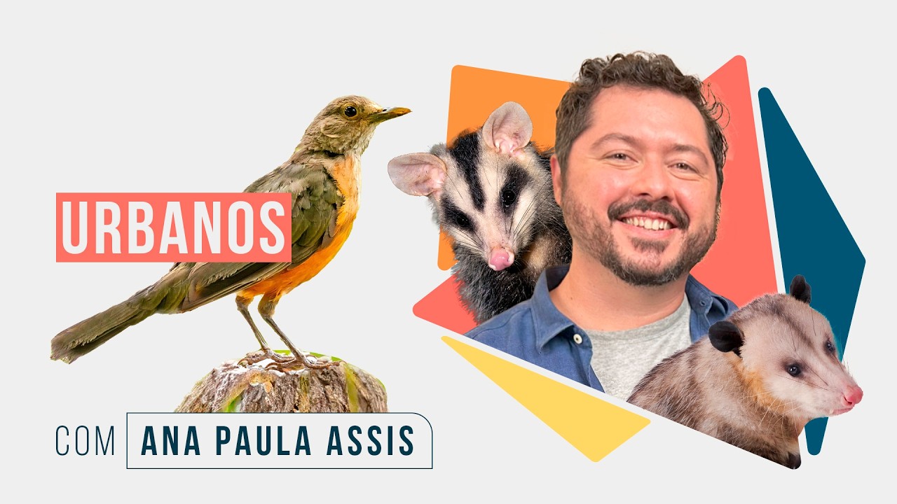Animais urbanos - PODCAST Não Ficção