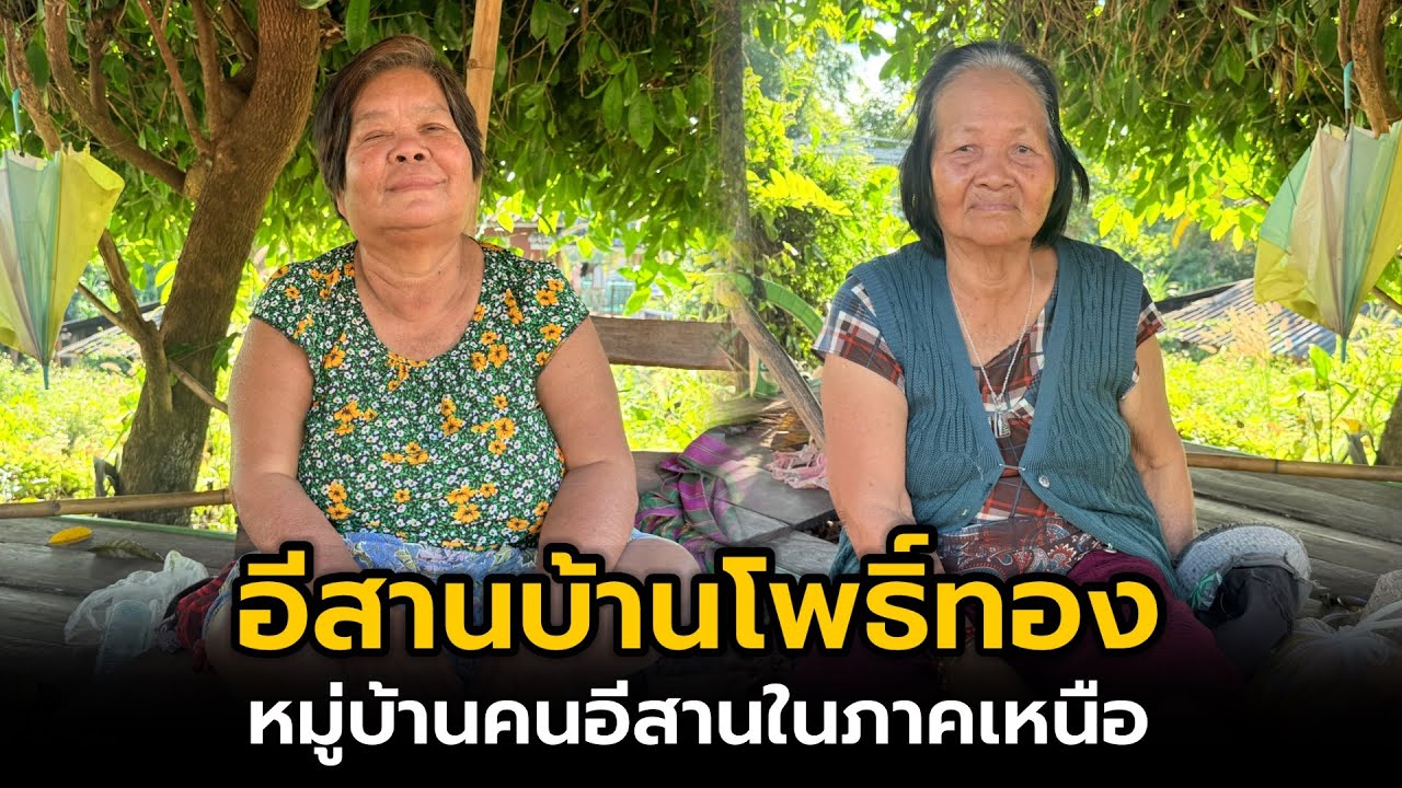 ชุมชนคนอีสานบ้านโพธิ์ทอง อ.เมือง จ.พะเยา #คนอีสาน #คนลาว #วิถีชนบท #วิถีชาวบ้าน #บรรยากาศชนบท 