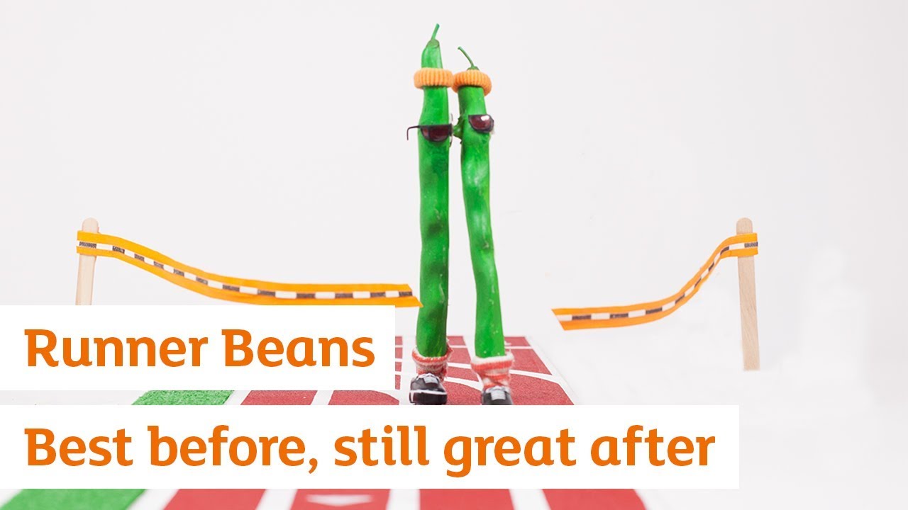 Runner Bean | Best Before Still Great After | Sainsbury's