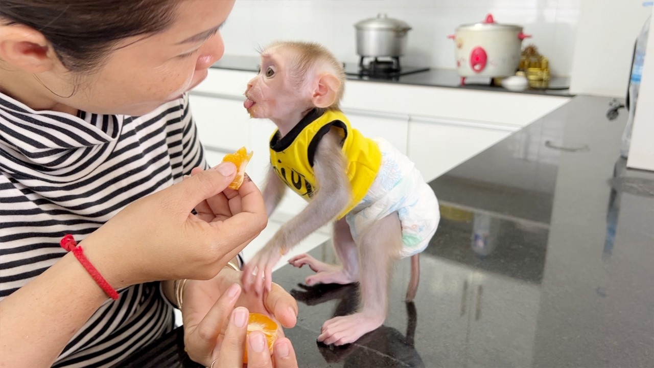 Baby Tauch Get Up Very Worry On Mom Eating His Orange Fruit