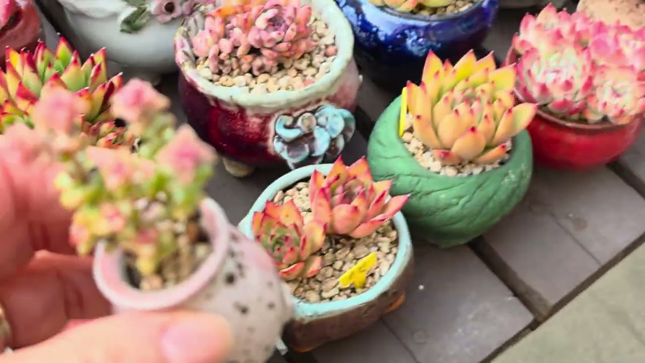 이럴수가#희성미인#미안해#화그#겨울내내#노숙장신세(26.3.13) 