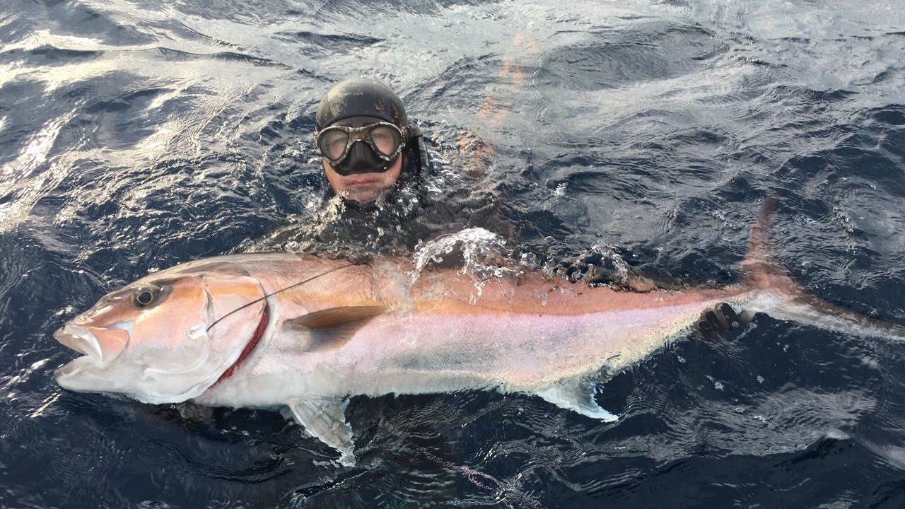 Spearfishing Croatia - The Best Of 2016.